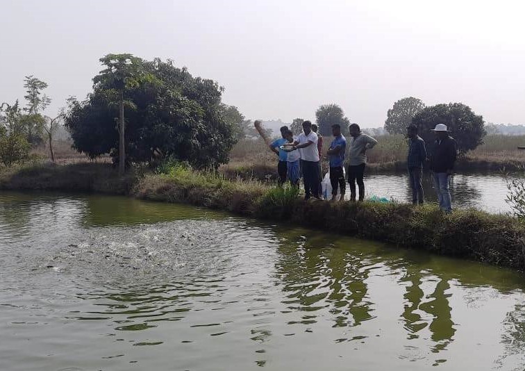 Guidance On Fish Feeding And Other Scientific Aspects Fish Culture To Farmers 11